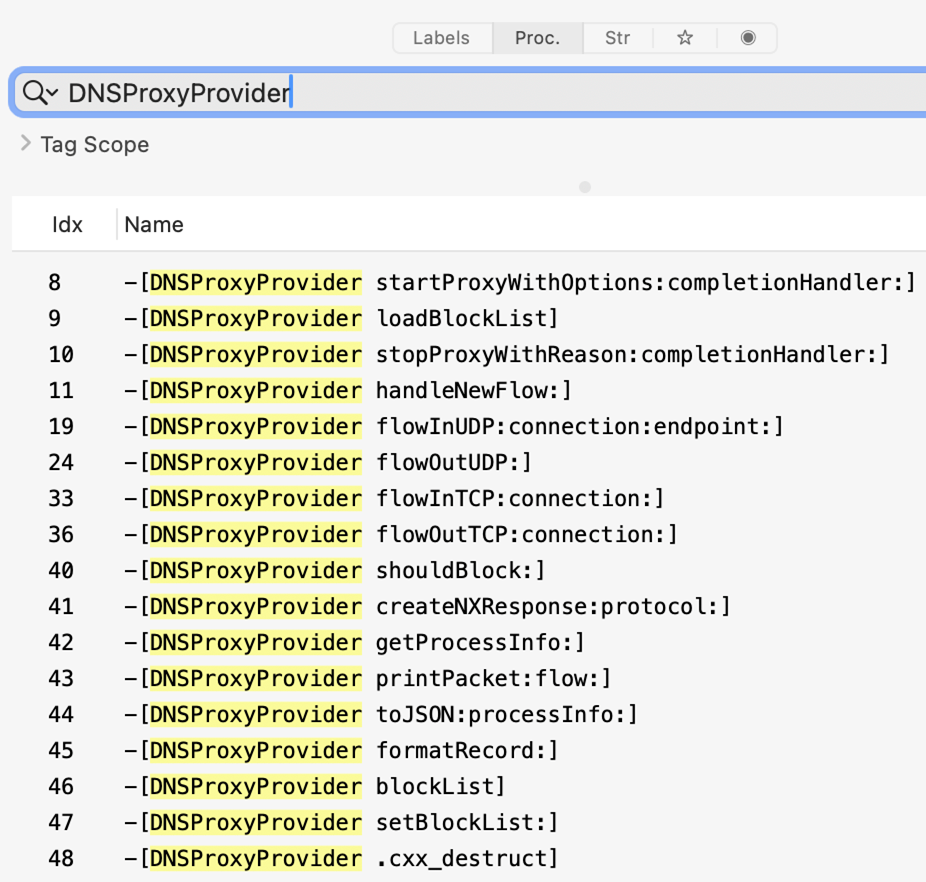 A screenshot of Hopper on macOS where the built-in search is used to find method's of the "DNSProxyProvider" class.